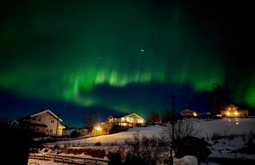 Ringsaker Apartment | Landlig beliggenhet med flott utsikt over Mjøsa