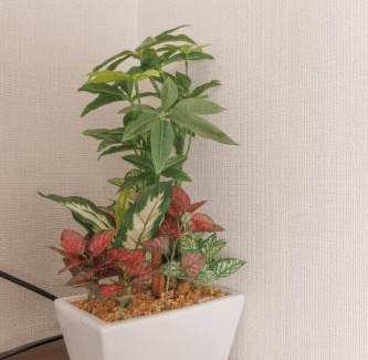 Kameido Hotel | LANG HOTEL Kameido - Vacation STAY 76937v