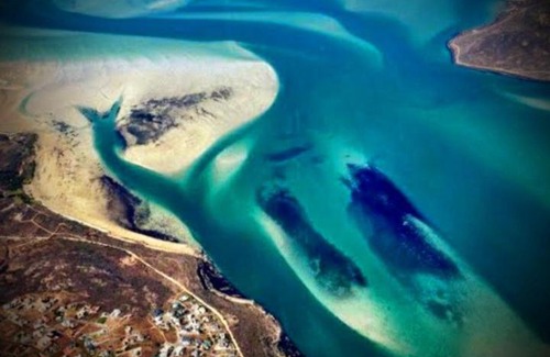Langebaan House | Langebaan Guest House Near Mykonos and Beach