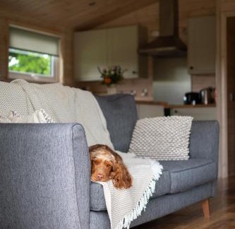 West Tanfield Ski Chalet | Lapwing Lodge Riverdale