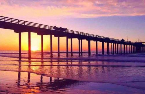 Ocean Beach Apartment | Large 1 Bdr steps to Beach + Parking (Catalina)