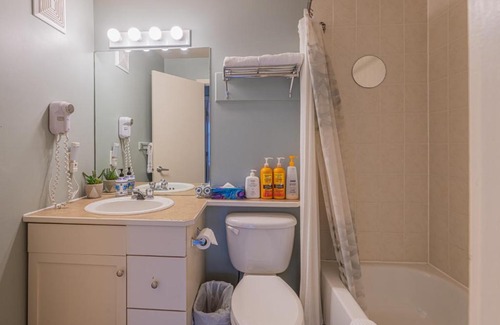 Canmore Apartment | Large 1 Bedroom Suite (4person)