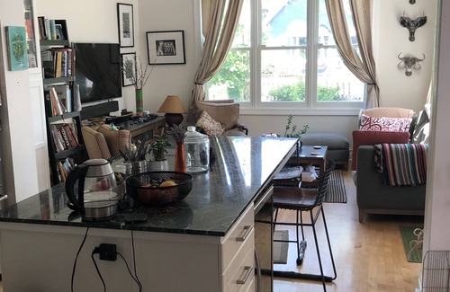 Edgewater House | Large 4 level frame home on leafy street in Chicago