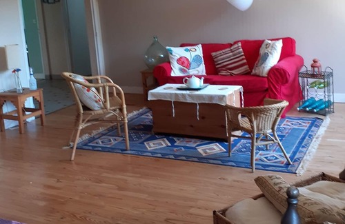 Saint-Beat Apartment | Large apartment with magnificent view of the river and the mountains 7 minutes from Spain