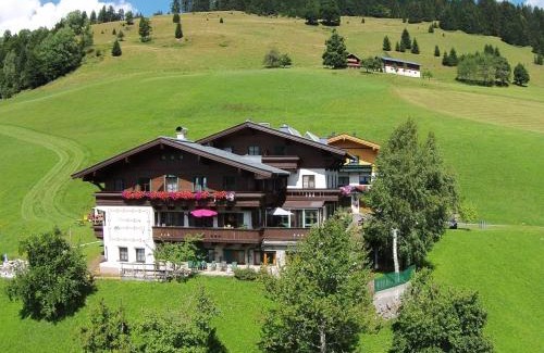 Maria Alm am Steinernen Meer Apartment | Large Apartment in Maria Alm with Terrace
