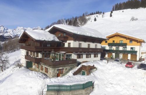 Maria Alm am Steinernen Meer Apartment | Large Apartment in Maria Alm with Terrace