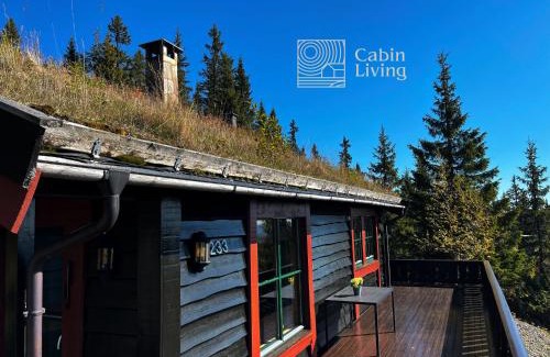 Ringsaker House | Large cabin at Sjusjøen with sauna, fireplace, view and cross-country skiing