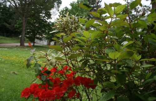 Aussonne House | Large cottage T5 / 6 from 4 to 8 adults near Blagnac, Fenouillet close to AIR BUS