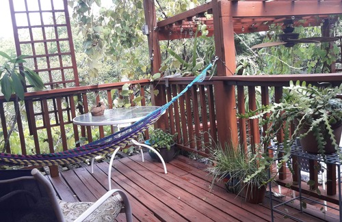 Jefferson Apartment | Large Historic Apartment with Spacious 2nd Story Balcony & Yard With BBQ Grill