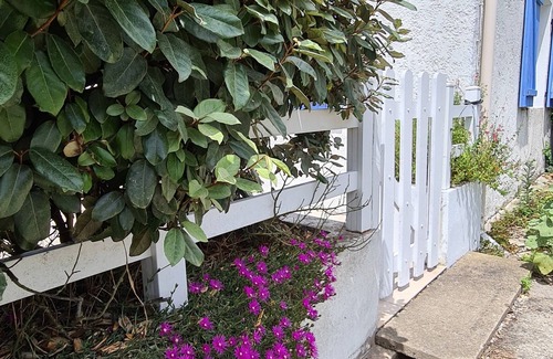 Bangor House | Large house in Belle Ile with bikes