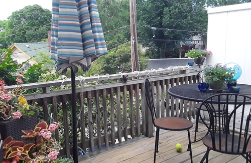 Gloucester House | Large, open floor plan. Water views of Lanes Cove. Walk to Plum Cove beach.