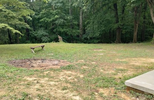 Somerset RV Rental | Large private campsite within minutes of Lake Cumberland!