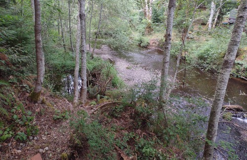 Shelton RV Rental | Large riverfront camp site, with Lake Limerick amenities.