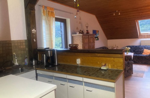 Dhron Apartment | Large vacation apartment in Germany's oldest wine village. Great cycling and hiking trails.