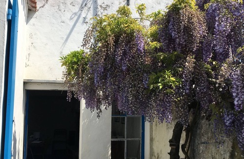 Ile d'Yeu House | Large village house in Saint Sauveur-Ile d'Yeu (France) - 4 bedrooms