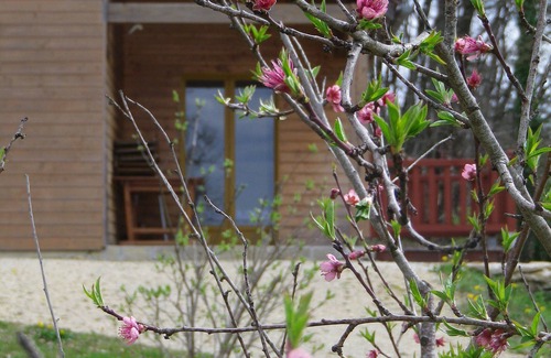 La Chapelle-Aubareil Ski Chalet | Large wooden chalet in the middle of the forest a stone's throw from Sarlat and Lascaux