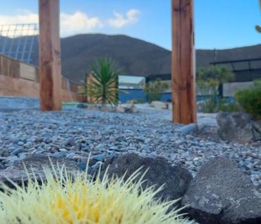 El Molle Apartment | Las Alpinas del valle