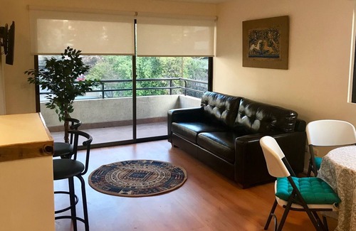 Providencia Apartment | Las Camelias cerca de Costanera Center