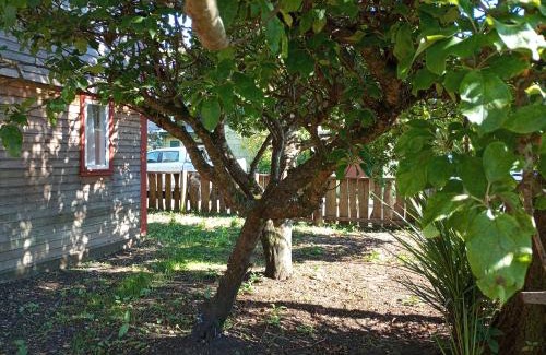 Ancud House | Las palmas