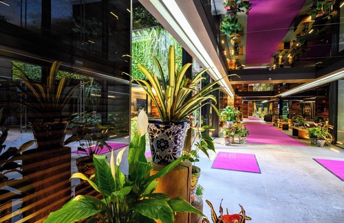 Miguel Hidalgo Apartment | Las Suites Campos Eliseos