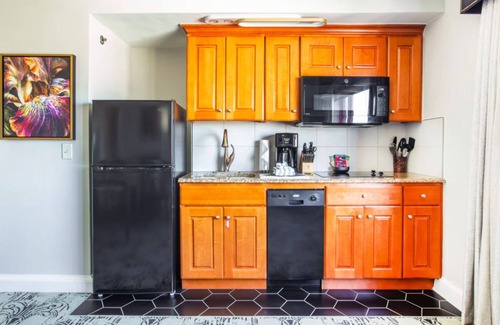 Faubourg Lafayette Apartment | Last Minute Super Bowl in New Orleans! 1BR Suite w/Kitchen on Trolley Route!