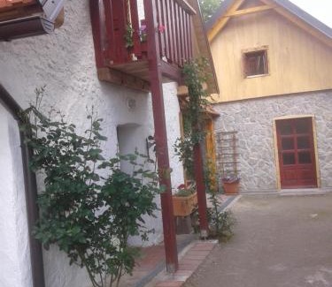 Municipality of Plaski House | Latin