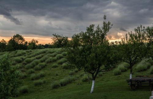 Rakovica Apartment | Lavanda farm apartmani