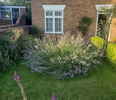 Louth House | Lavender Cottage, a pretty period cottage in Louth