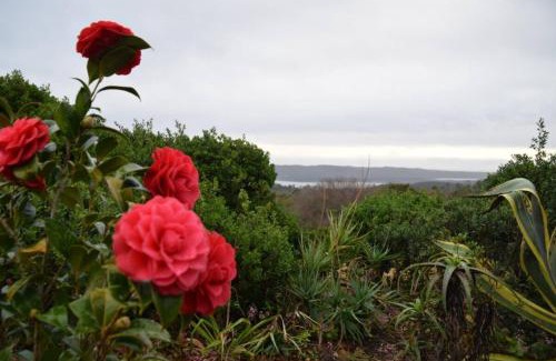 Sedgefield Apartment | LaVera Oriole Cottage