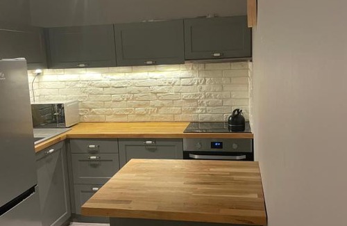 Baluty Apartment | Lawendowy apartament