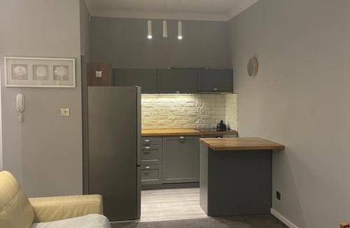 Baluty Apartment | Lawendowy apartament