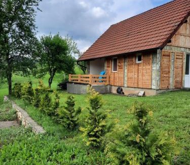 Bajina Basta House | Lazareva kuća