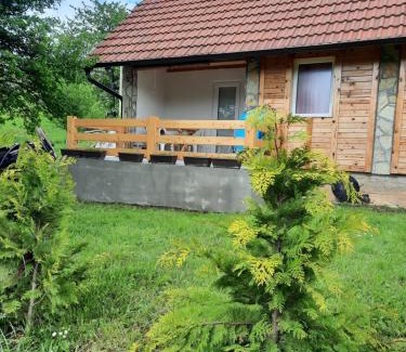 Bajina Basta House | Lazareva kuća