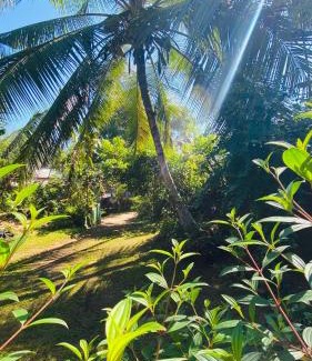 Ambalangoda House | Lazy Days