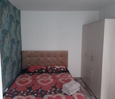 Suceava Apartment | LC Apartments George Enescu L3