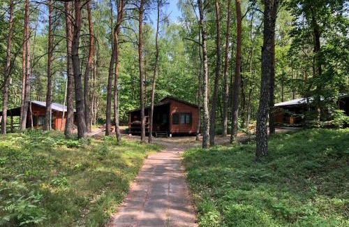 Stegna Resort | Leśnik Bungalow Stegna - domki letniskowe nad morzem