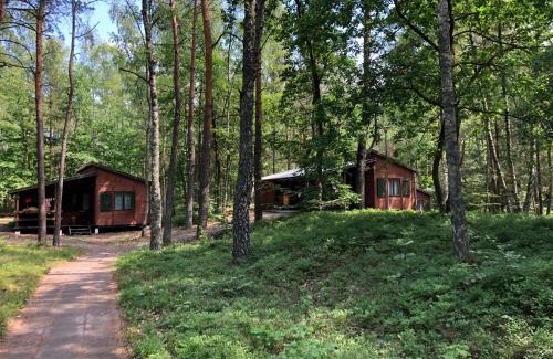 Stegna Resort | Leśnik Bungalow Stegna - domki letniskowe nad morzem