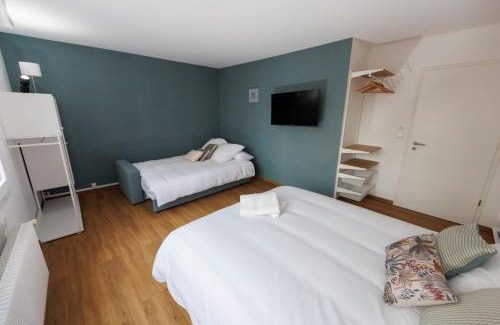 Colmar Centre Ville Apartment | le 3 Tassigny