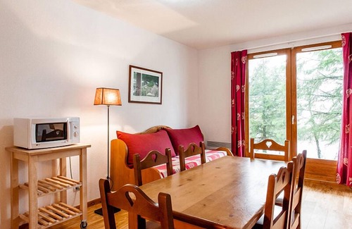 Besse-et-Saint-Anastaise Apartment | Le Bois de la Reine Residence * - Studio 4/6 people with terrace