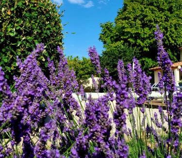 Saignon Bed & Breakfast | Le Cabanon de Marie