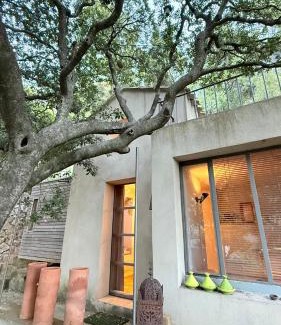 Toulon Bed & Breakfast | Le cabanon du Faron une chambre d hote dans un jardin