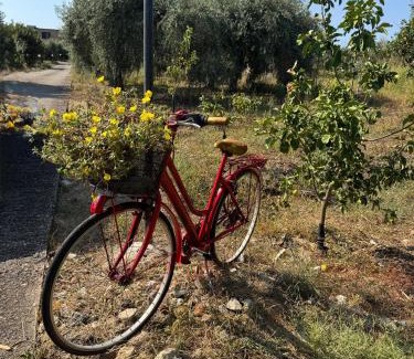 Campofelice di Roccella Apartment | Le Casette di campagna #2