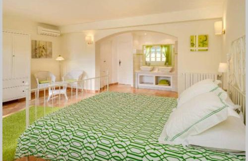 Roaix Villa | Le clos des pins, vue mont Ventoux