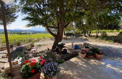 Roaix Villa | Le clos des pins, vue mont Ventoux