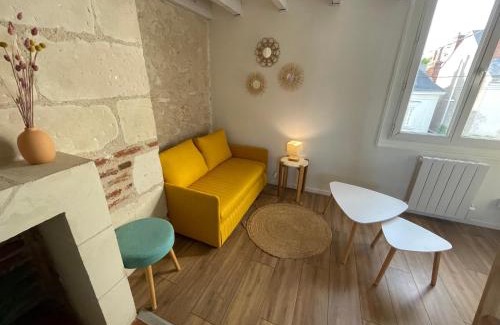 La Fuye-Velpeau Apartment | Le Cocon du Rempart Studio de charme avec mezzanine TOURS centre
