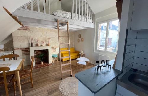 La Fuye-Velpeau Apartment | Le Cocon du Rempart Studio de charme avec mezzanine TOURS centre