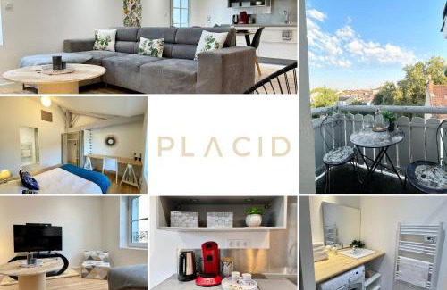 Mont-de-Marsan Apartment | Le Cocon Landais - Clim - Balcon - Central - Spacieux - Lumineux