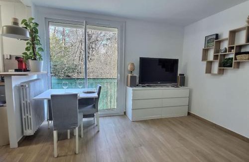 Pomponne Apartment | Le Cocon Pomponné *Paris*Disney*Parking*