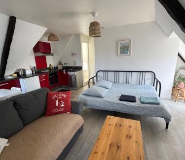 Guerande Apartment | Le CulSalé joli studio au cœur des remparts avec vue imprenable sur les toits