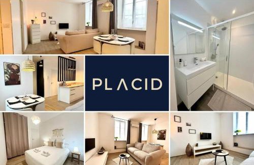 Mont-de-Marsan Apartment | Le Despiau - Parking - Clim - Fibre - Proche Base